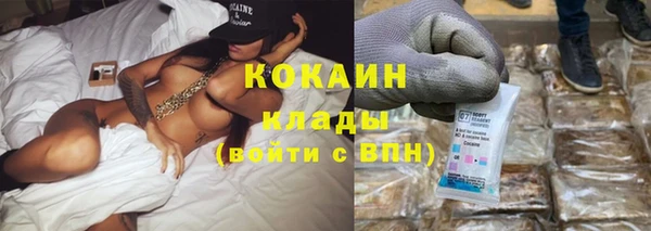 apvp Няндома