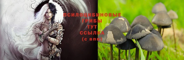 бутират Нязепетровск