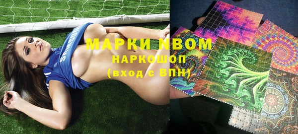 шишки Новозыбков