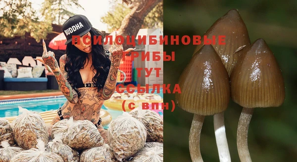 бутират Нязепетровск
