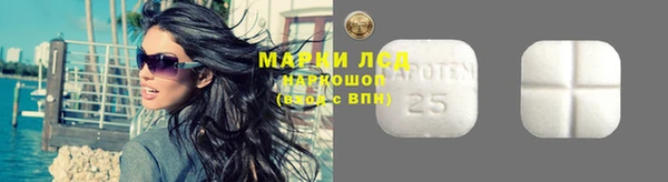 apvp Няндома