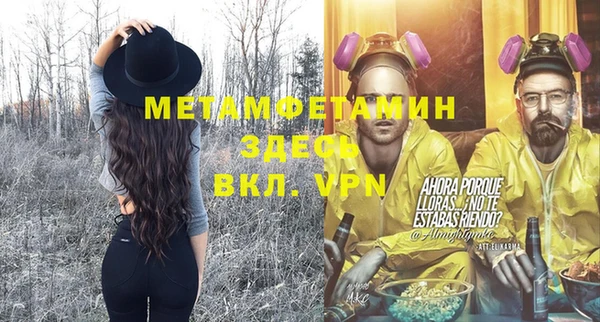 шишки Новозыбков
