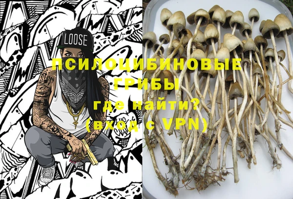 первитин Новодвинск