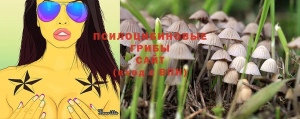 первитин Новодвинск