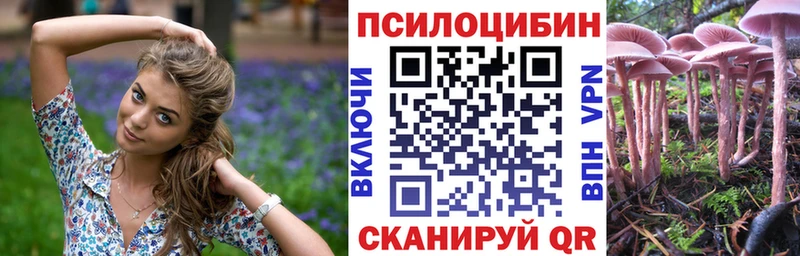 KRAKEN ссылка  Курск  Псилоцибиновые грибы мицелий 