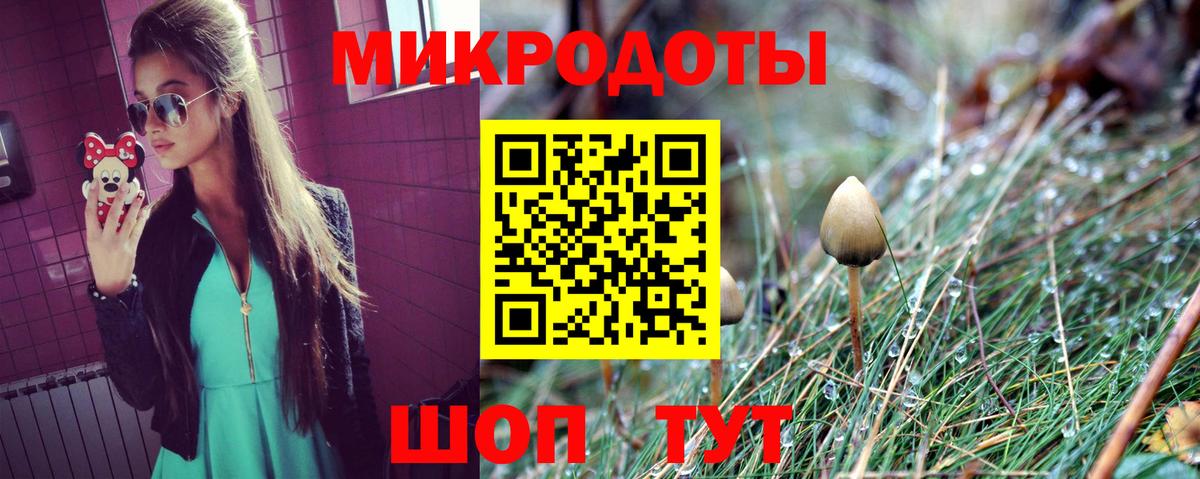 Курск  Галлюциногенные грибы Magic Shrooms  Вход с VPN 
