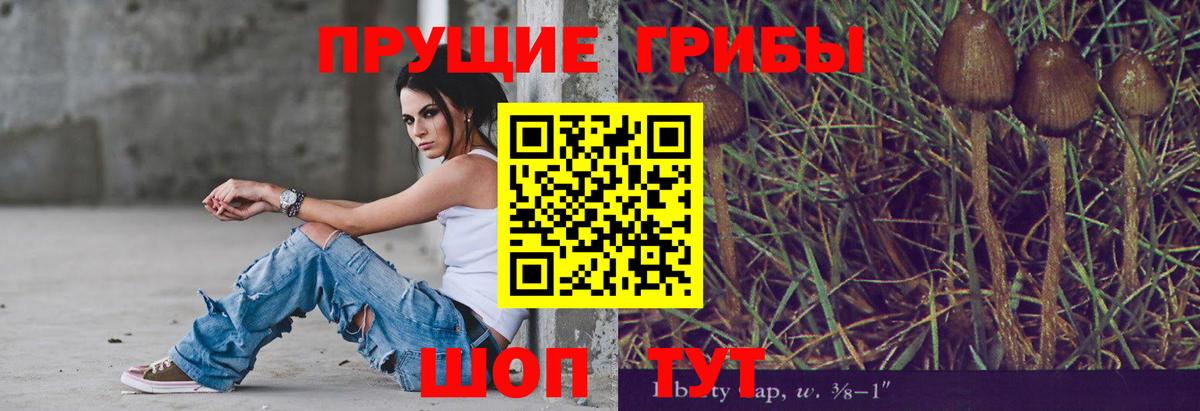 Псилоцибиновые грибы Psilocybine cubensis Курск