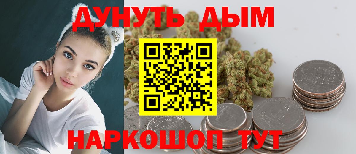 Марихуана планчик  Бошки марихуана план  Вход с VPN  Курск  Марихуана сатива 
